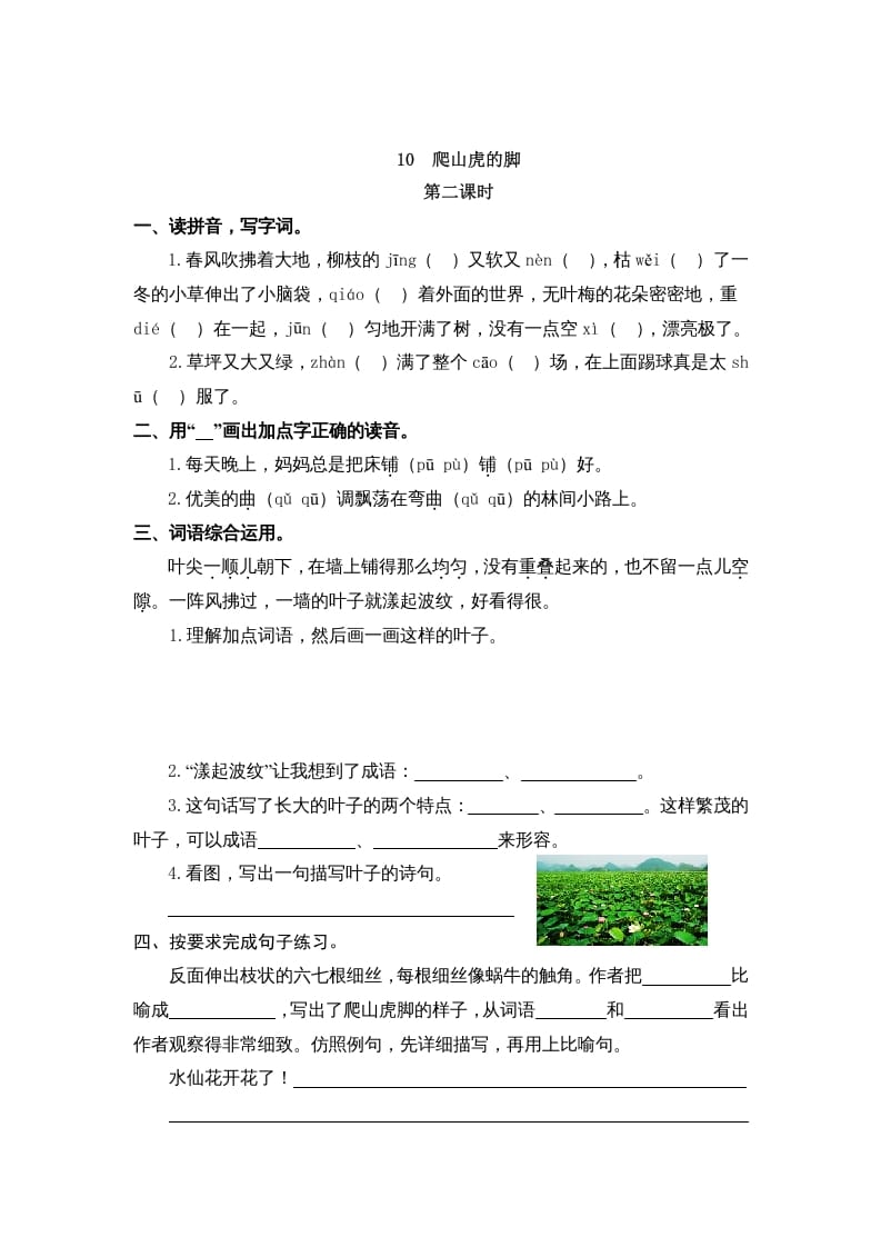 图片[3]-四年级语文上册10爬山虎的脚-佑学宝学科网