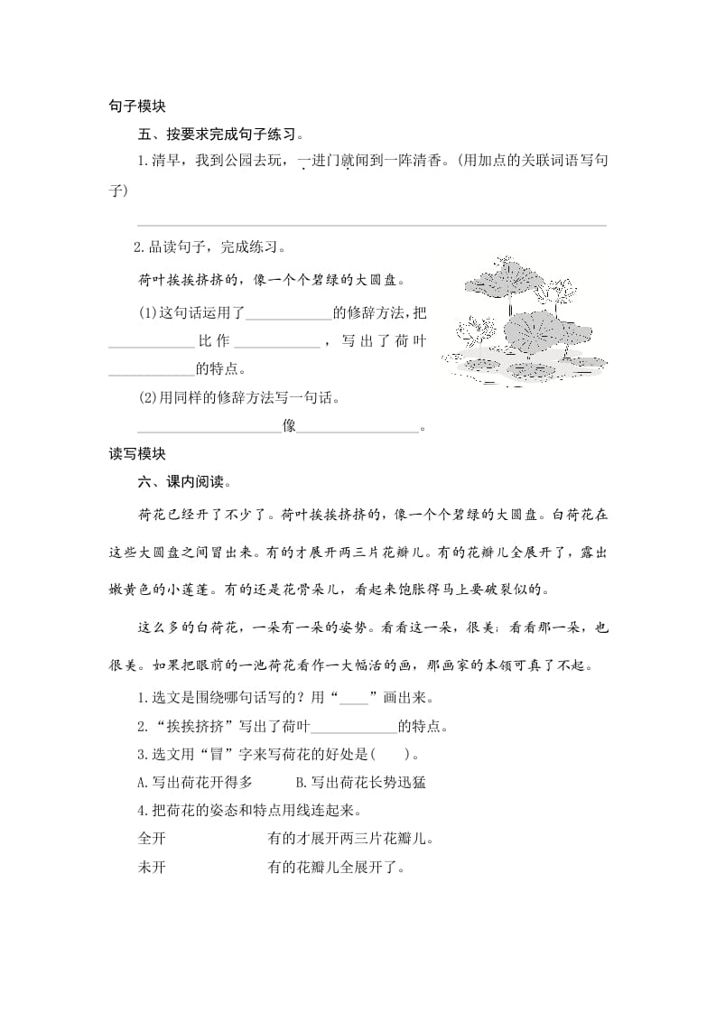 图片[2]-三年级语文下册3荷花-佑学宝学科网