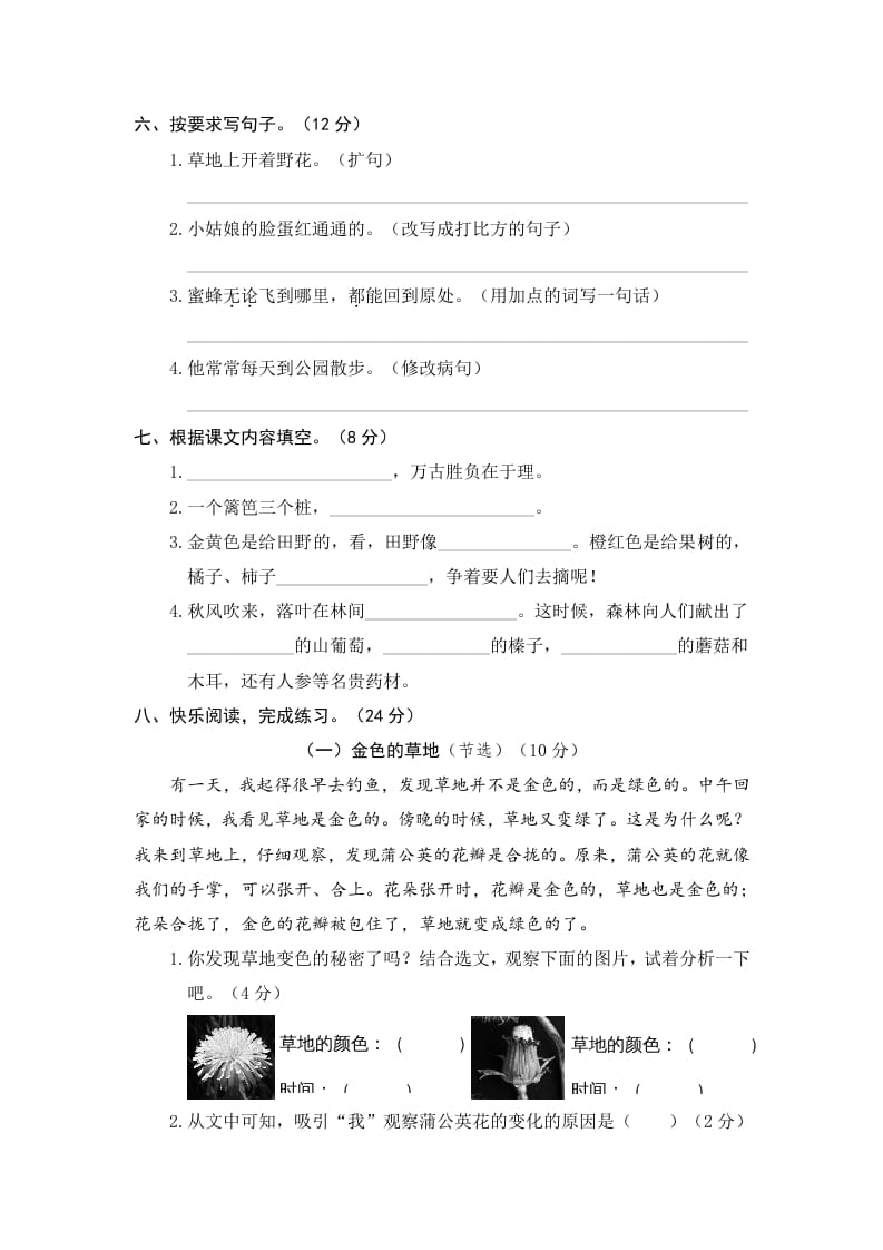 图片[2]-三年级语文上册期末练习(11)（部编版）-佑学宝学科网