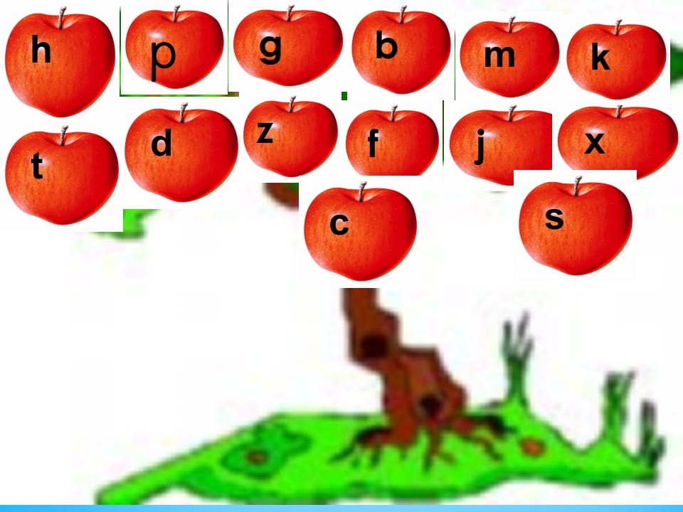 一年级语文上册8.zhchshr课件3（部编版）-佑学宝学科网
