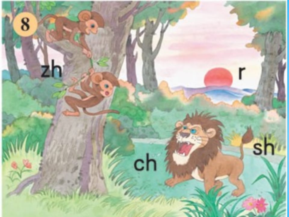 图片[3]-一年级语文上册8.zhchshr课件1（部编版）-佑学宝学科网