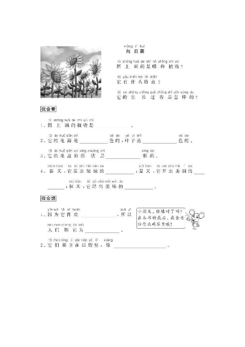 图片[2]-二年级语文上册（跟我学写话）写物（5篇）（部编）-佑学宝学科网