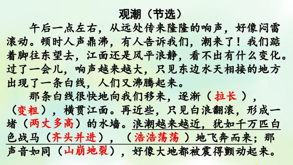 图片[3]-四年级语文上册专项7阅读指导复习课件-佑学宝学科网