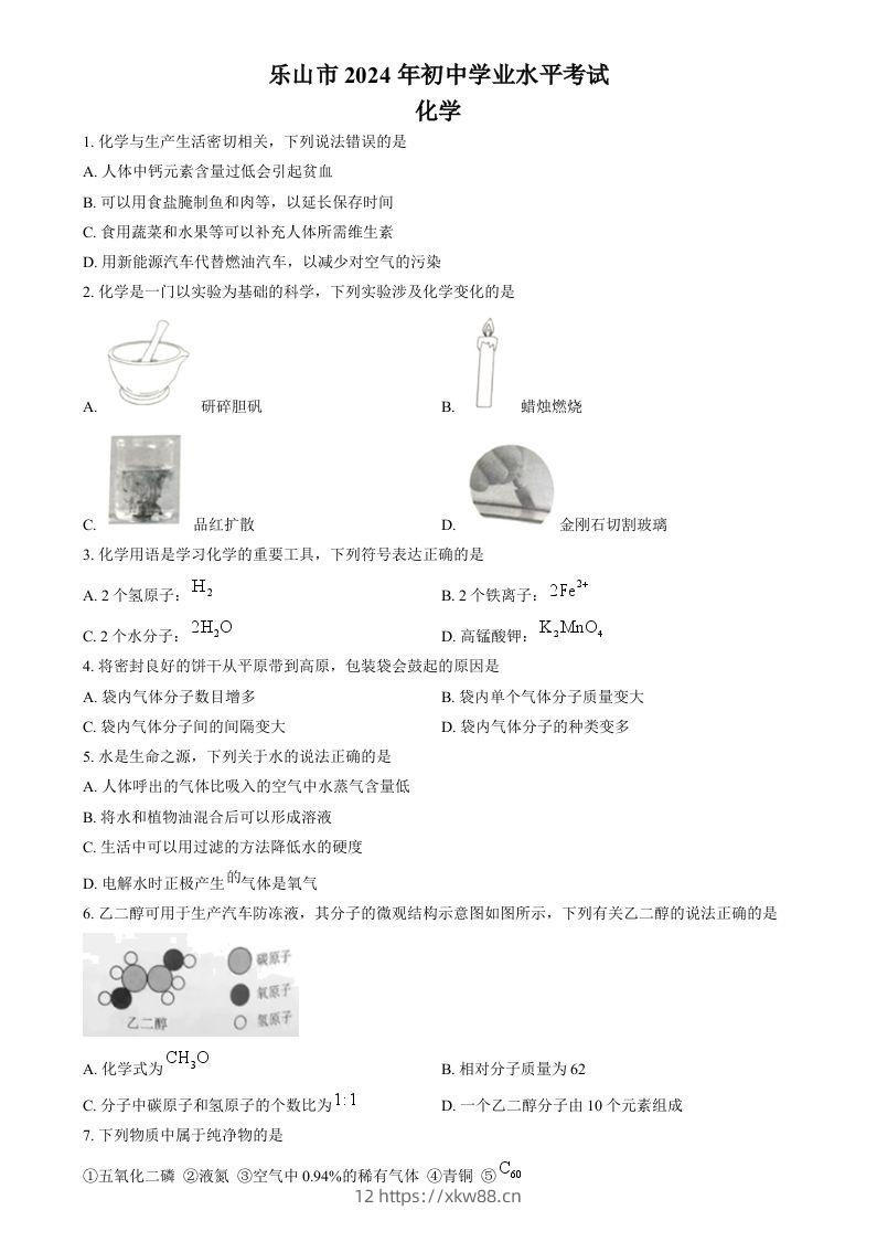 2024年四川省乐山市中考化学真题（空白卷）-佑学宝学科网