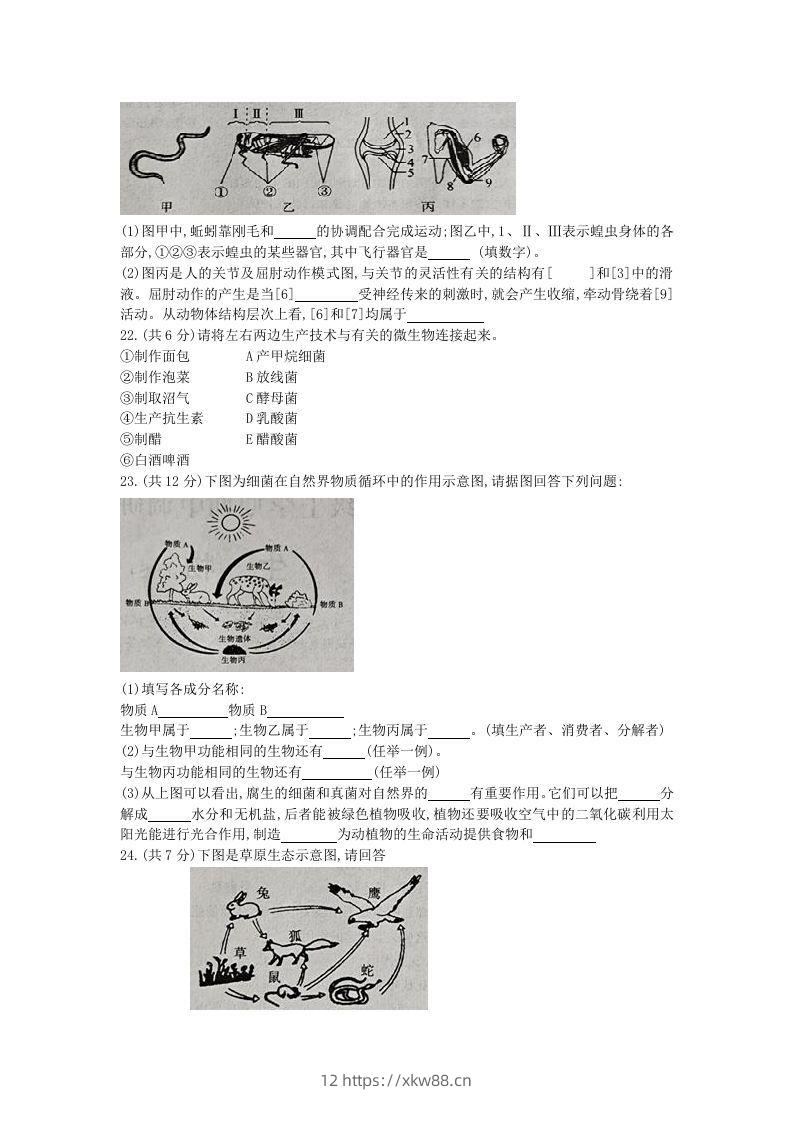 图片[3]-2020-2021学年河南省新乡市卫辉市八年级上学期期中生物试题及答案(Word版)-佑学宝学科网