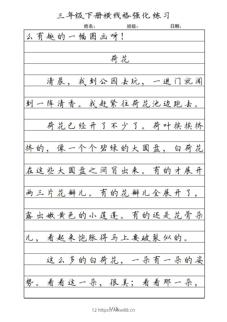 图片[3]-三年级语文下册横线格（部编版）-佑学宝学科网