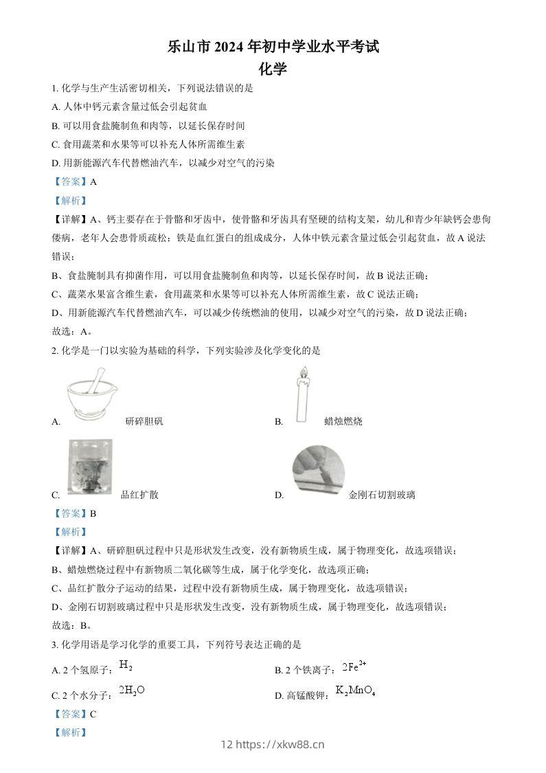 2024年四川省乐山市中考化学真题（含答案）-佑学宝学科网