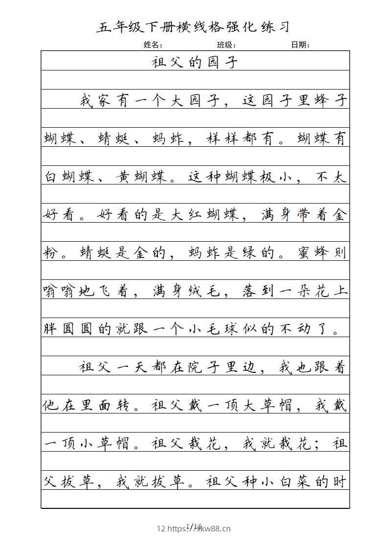 五年级语文下册横线格（部编版）-佑学宝学科网