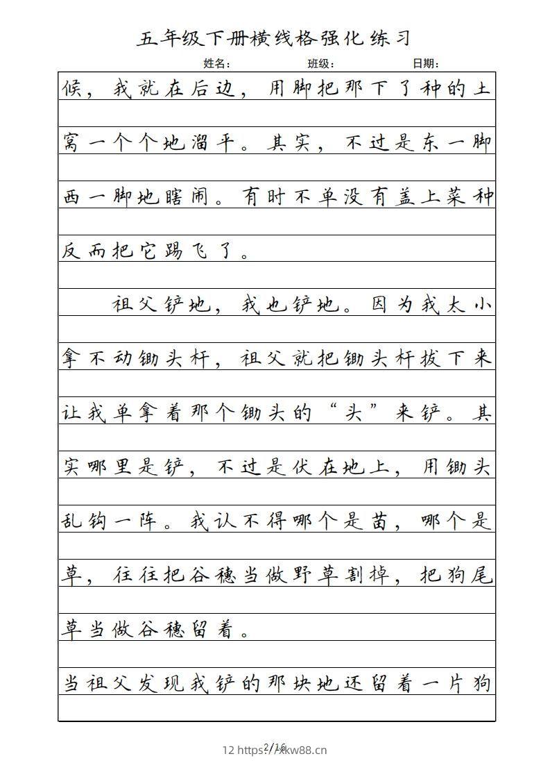 图片[2]-五年级语文下册横线格（部编版）-佑学宝学科网