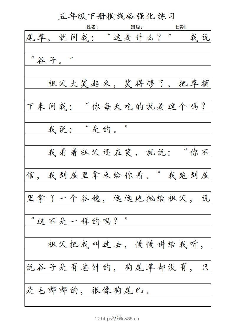 图片[3]-五年级语文下册横线格（部编版）-佑学宝学科网