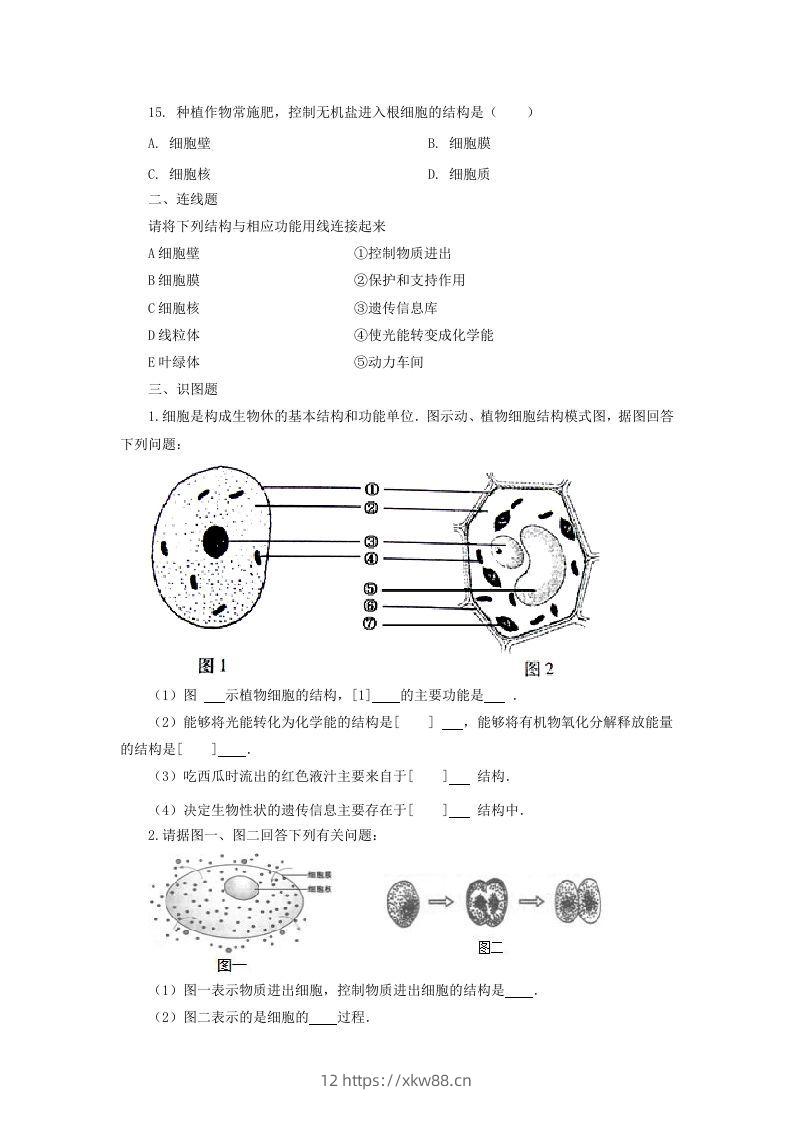 图片[3]-七年级上册生物第二单元第一章第四节试卷及答案(Word版)-佑学宝学科网