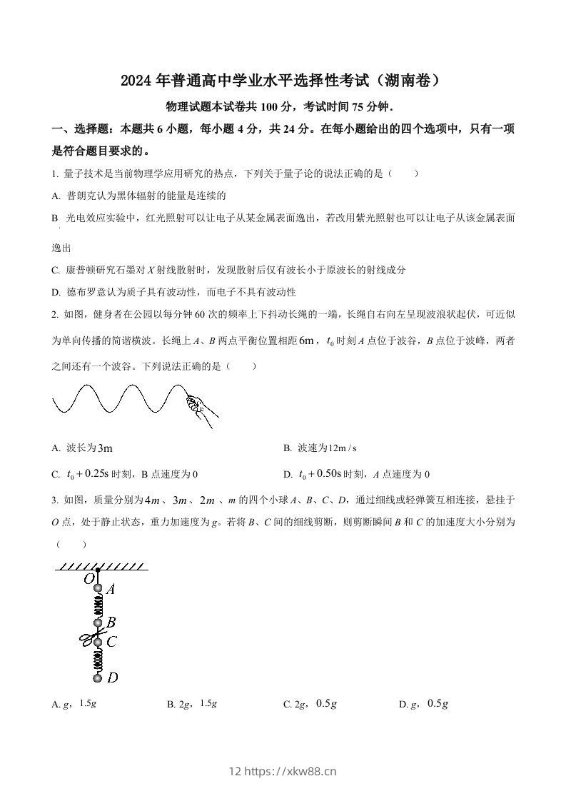 2024年高考物理试卷（湖南）（空白卷）-佑学宝学科网