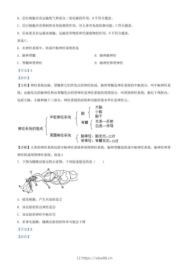 图片[3]-2024年上海中考生物试题及答案(Word版)-佑学宝学科网