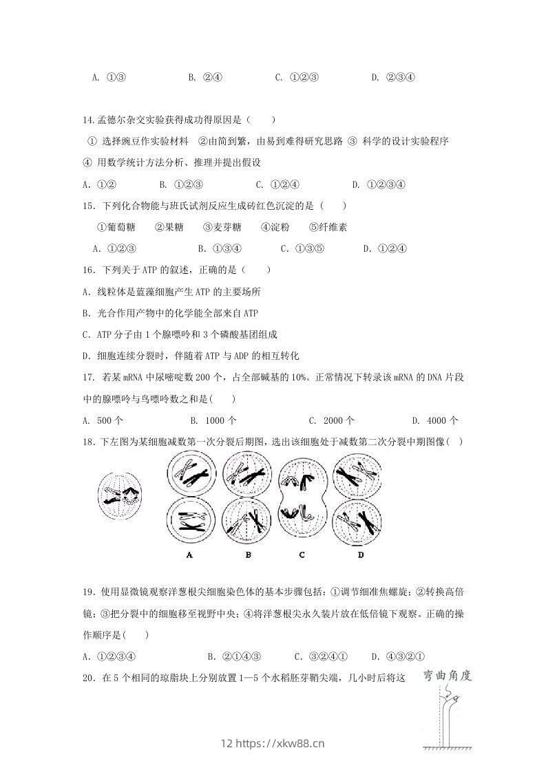 图片[3]-2010年上海高三部分重点中学二次联考生物真题及答案(Word版)-佑学宝学科网