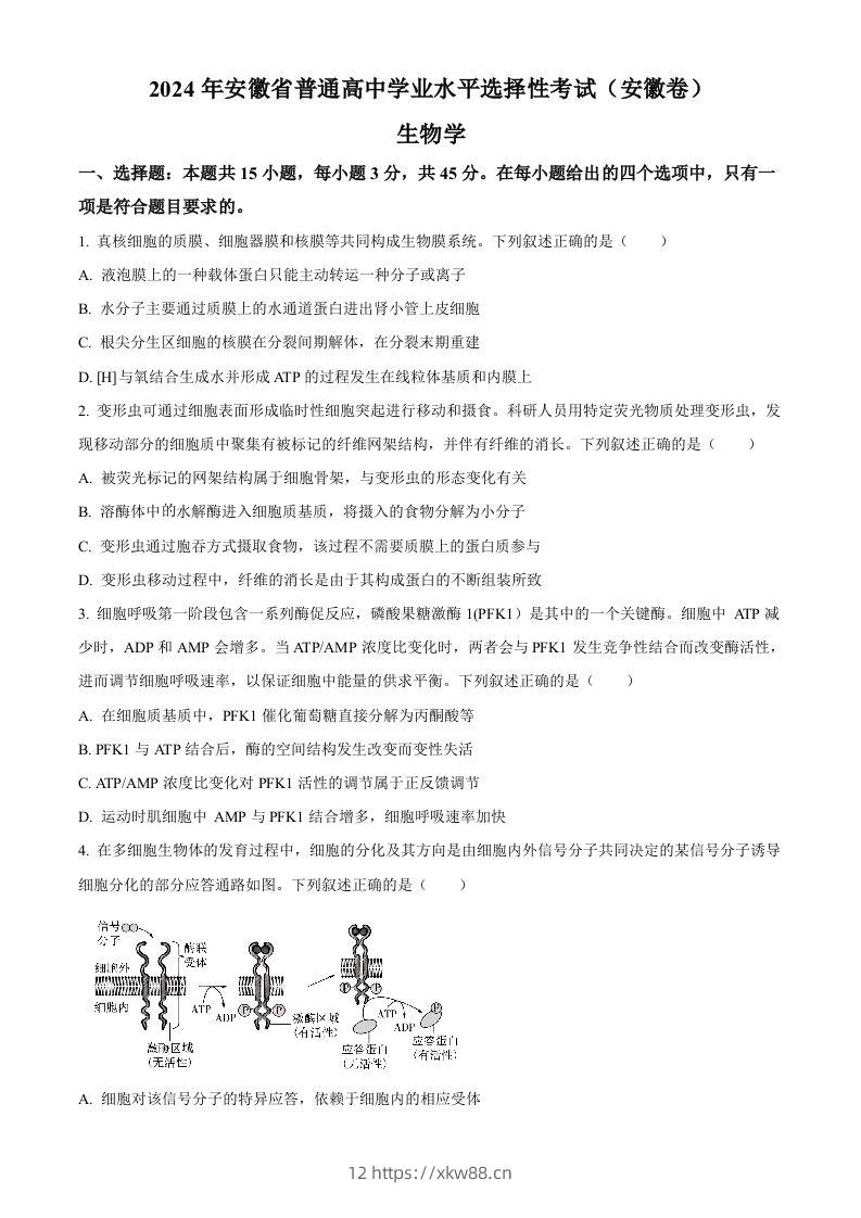 2024年高考生物试卷（安徽）（空白卷）-佑学宝学科网