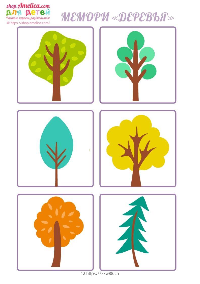 记忆卡片14-佑学宝学科网