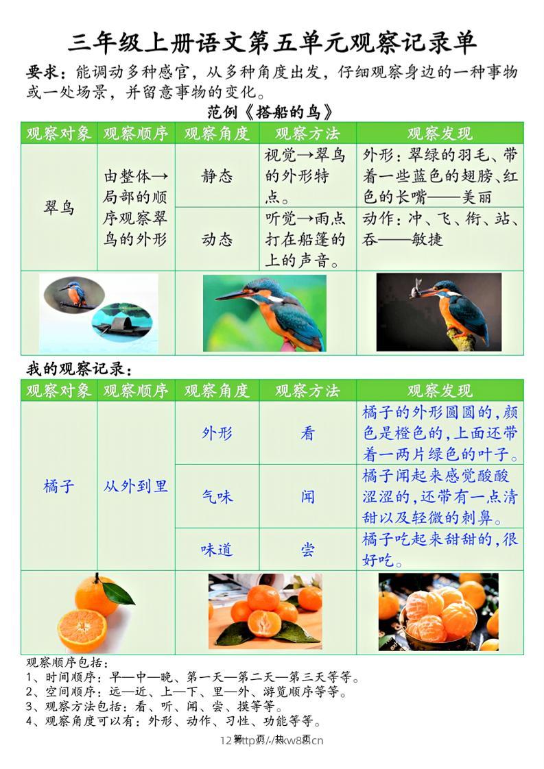 三上语文第五单元观察记录单（空白+答案14页）-佑学宝学科网